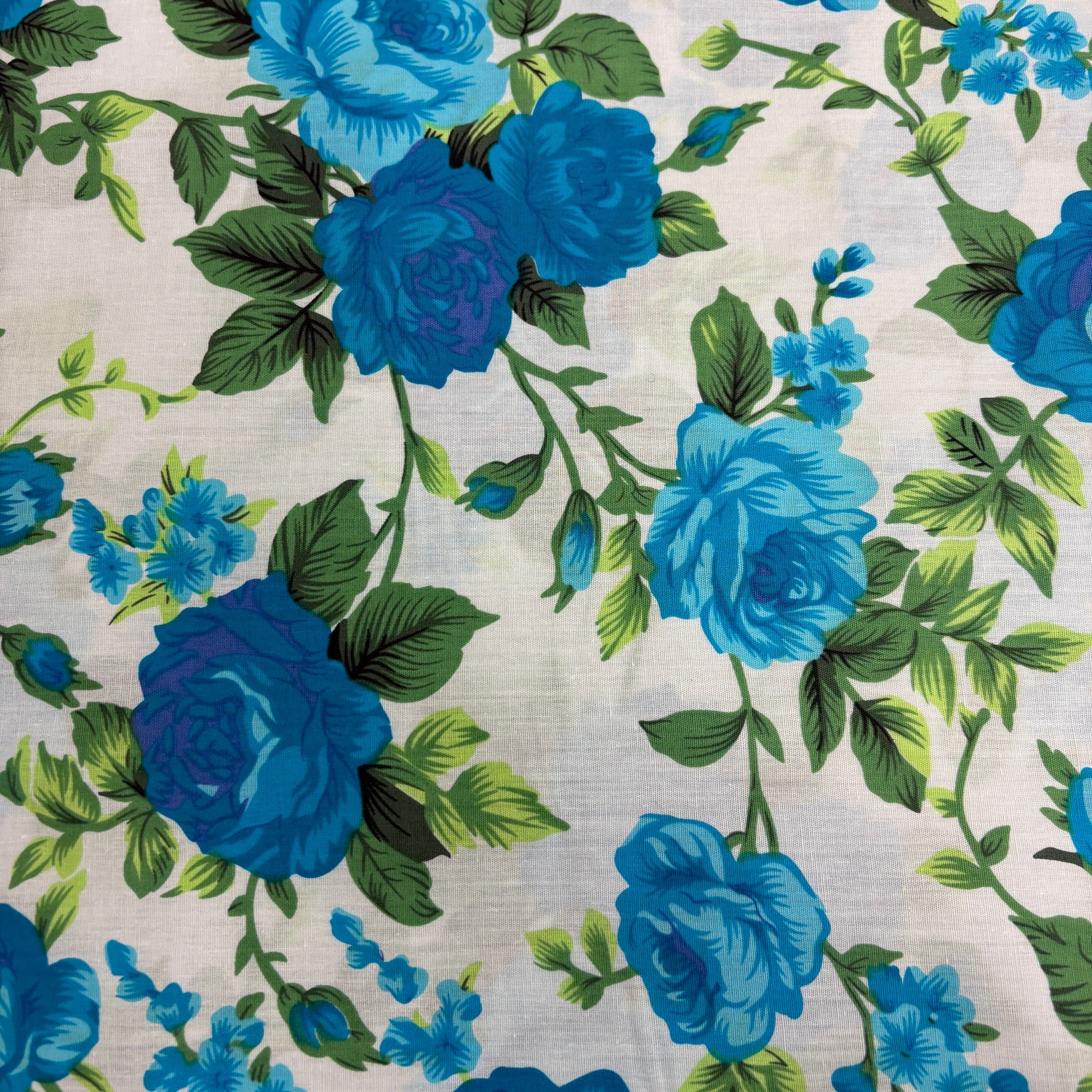 Spring Blossoms Spring Sky